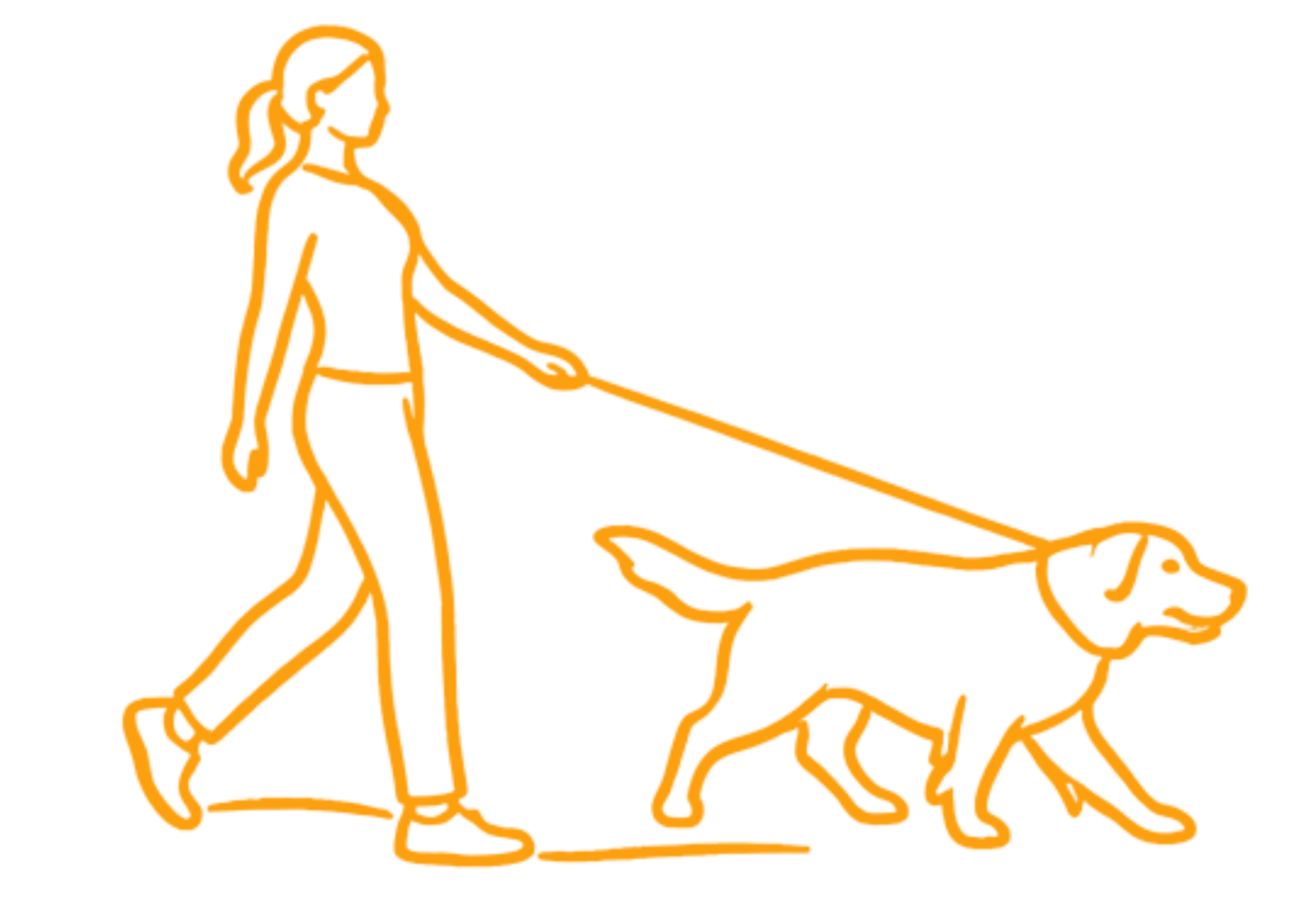 caninova-educateur-canin-comportementaliste-dressage-chiot-obeissance-bilan-balade-educative-socialisation-réeducation-chien