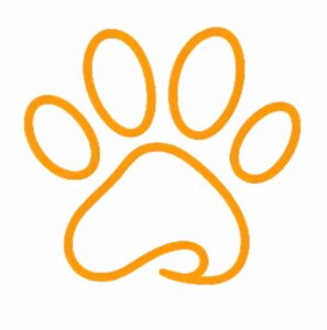 caninova-educateur-canin-comportementaliste-dressage-chiot-obeissance-bilan-balade-educative-socialisation-réeducation-chien