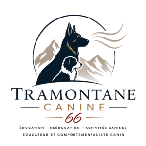 tramontane-canine-educateur-canin-comportementaliste-dressage-chiot-obeissance-bilan-balade-educative-socialisation-réeducation-chien